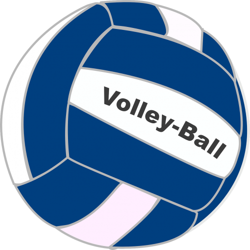 volleyball ball blue