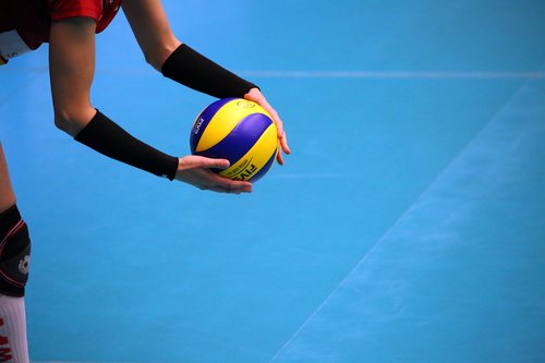 volleyball  sport  premium