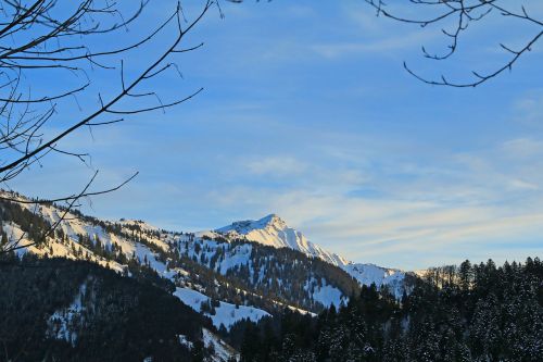 vorarlberg ebnit austria