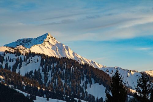 vorarlberg ebnit austria