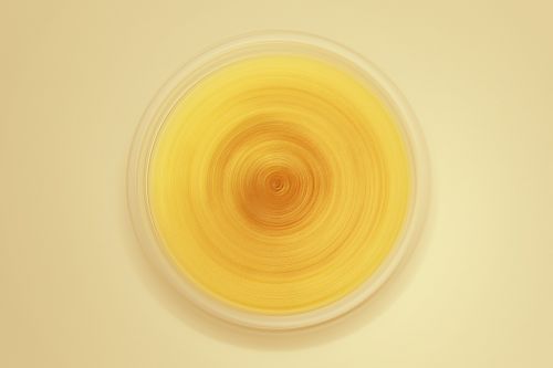 vortex swirl image