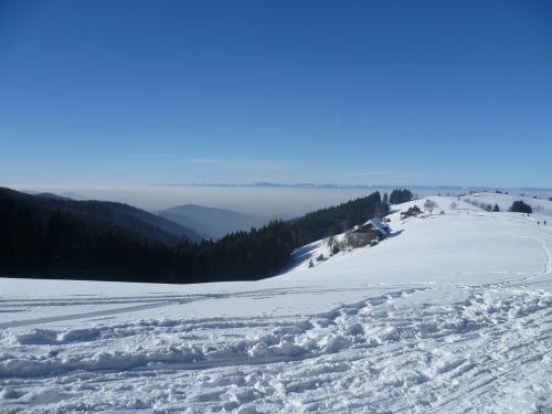 vosges snow winter