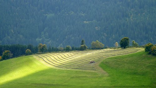vosges  fields  landscape