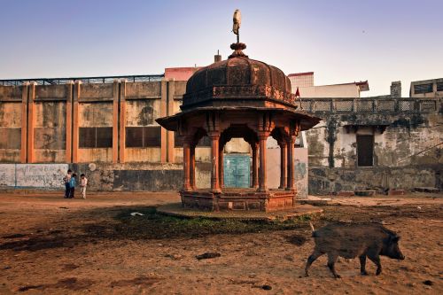 vrindavan holy place