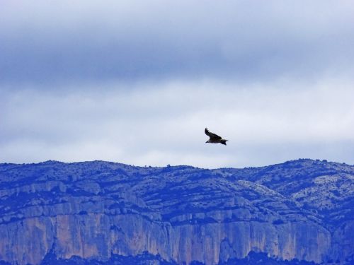 vulture mountains clouds