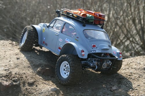 vw beetle  buggy  scorcher