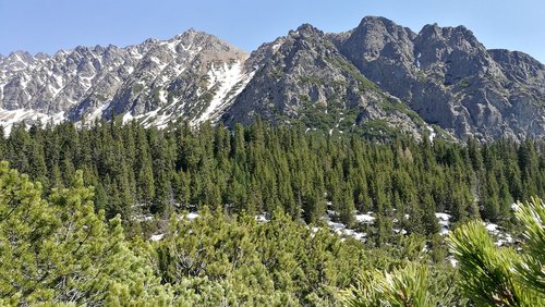 vysoké tatry  nature  tatry