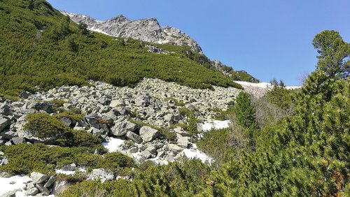 vysoké tatry  nature  tatry