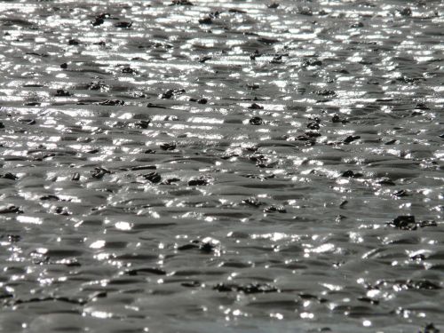 wadden sea watts north sea