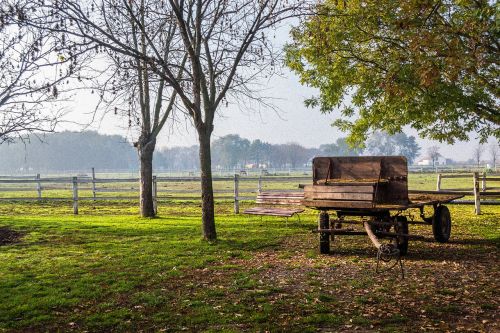 wagon countryside nature