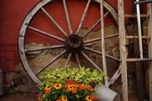 wagon wheel farm