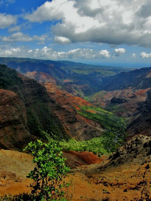 waimea canyon hawaii kauai