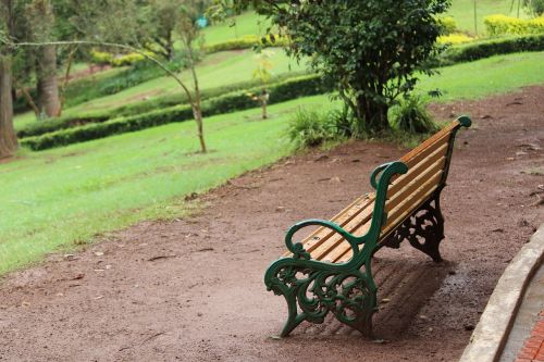 waiting garden bench