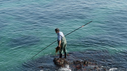 wakame  fisherman  beach
