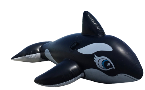 wal killer orca