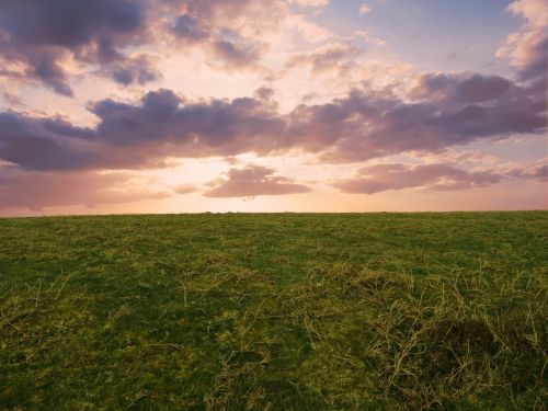 wales landscape nature