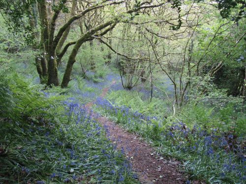 wales walk path