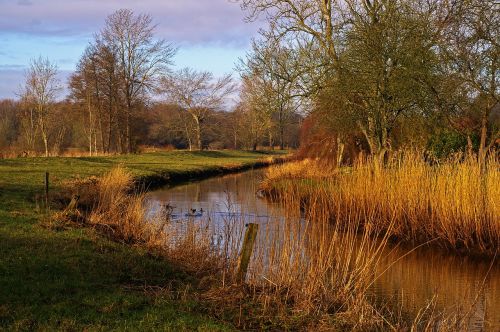 walk nature landscape