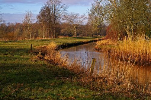 walk nature landscape