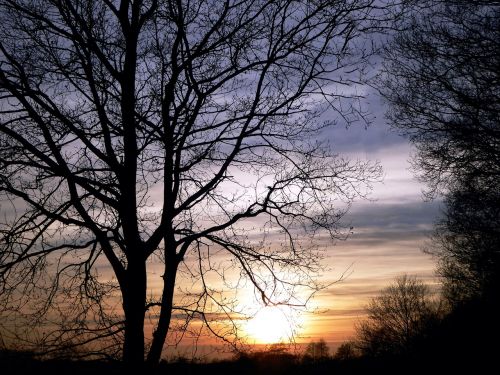 walk abendstimmung sunset