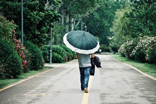 walk  umbrella  rain