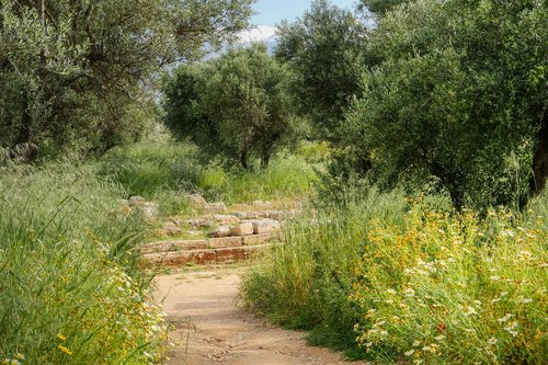 walk  hiking  crete