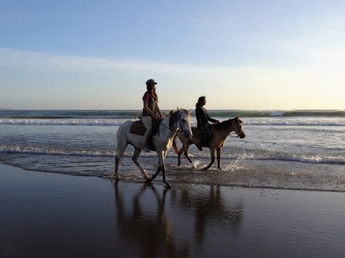 walk on the beach horses bali