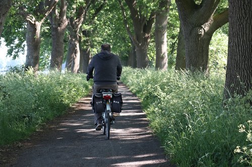 walker  bike  path