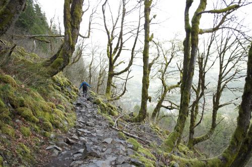 walking countryside climbing