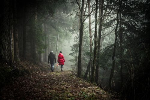 walking forest couple