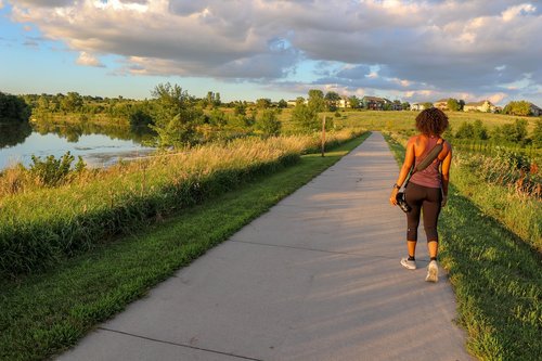 walking  trail  nature