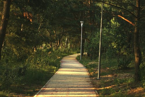 walkway  landscape  city