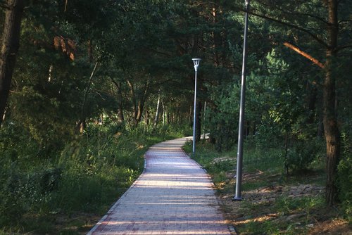 walkway  landscape  city