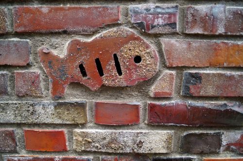 wall stones fish