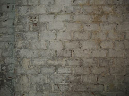 wall texture brick