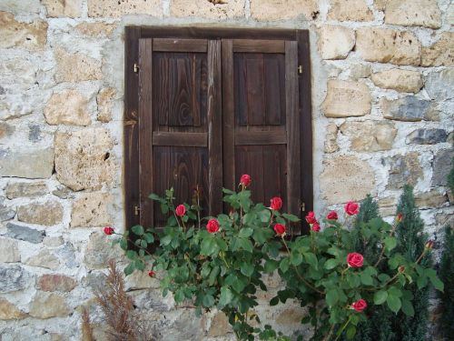 wall window roses