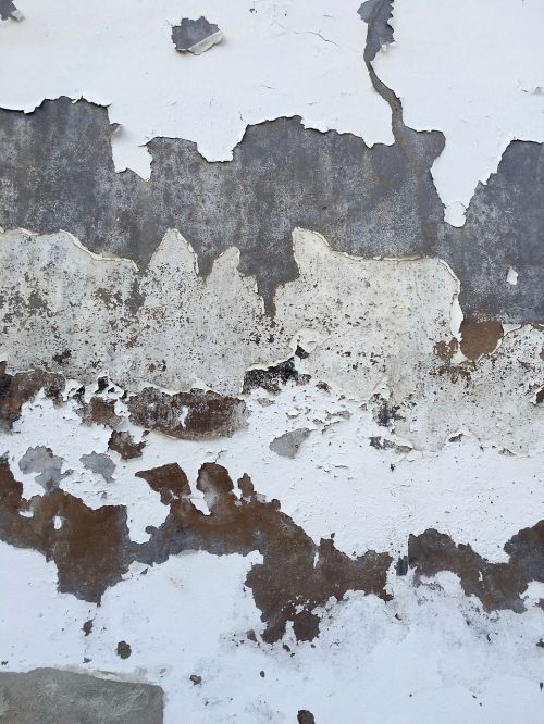 wall texture white