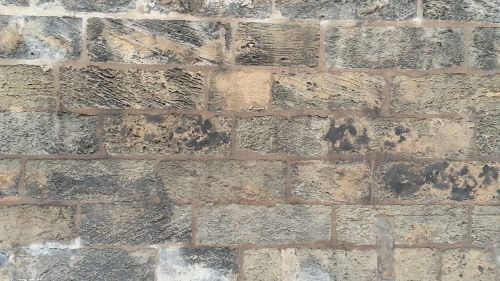 wall paredon tapia