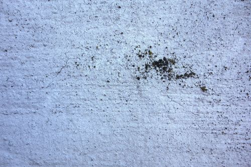 wall plaster cracks