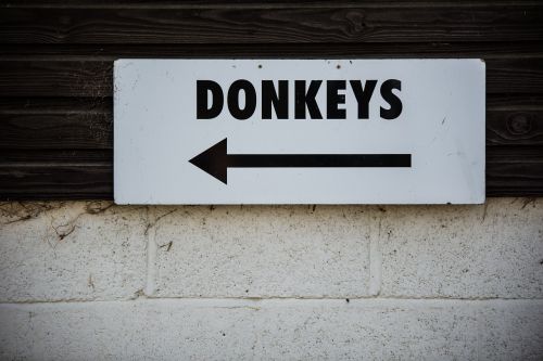 wall sign donkeys