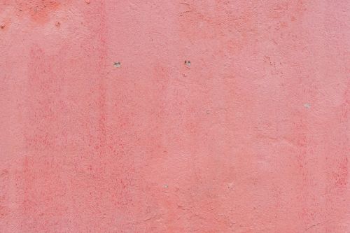 wall paint pink