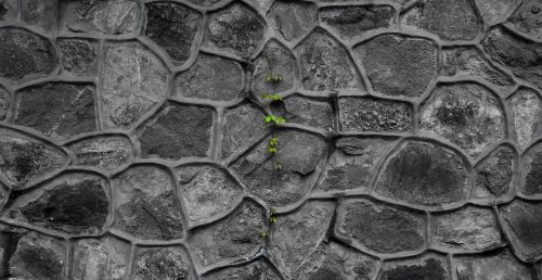 wall texture black and white