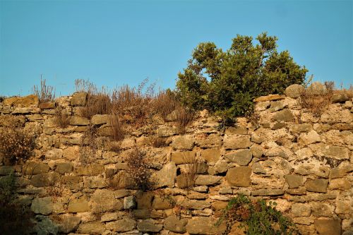 wall overgrown castle wall