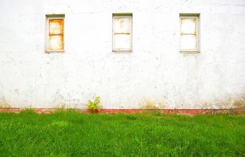 wall window grass