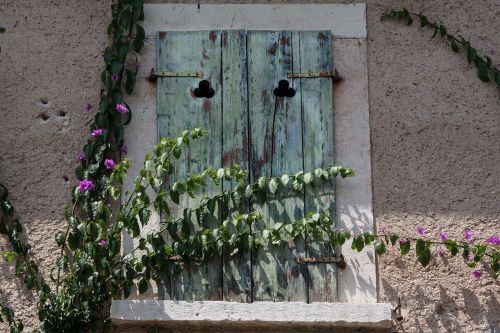 wall home bricked