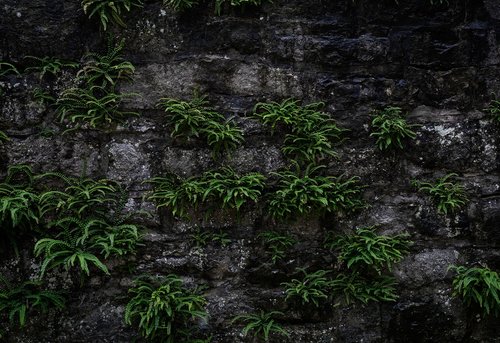 wall  background  texture