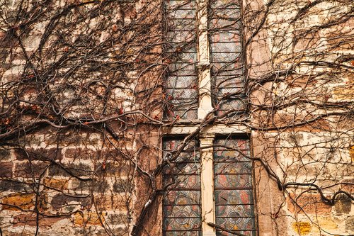 wall  church  ivy