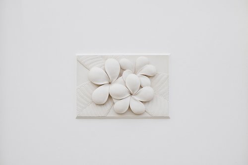 wall  flower  white