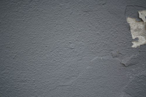 wall color rau