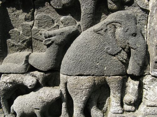 wall elephant art
